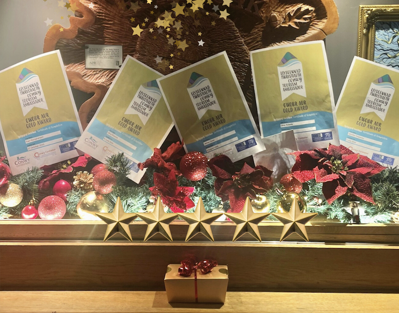 GOING FOR GOLD ⭐️